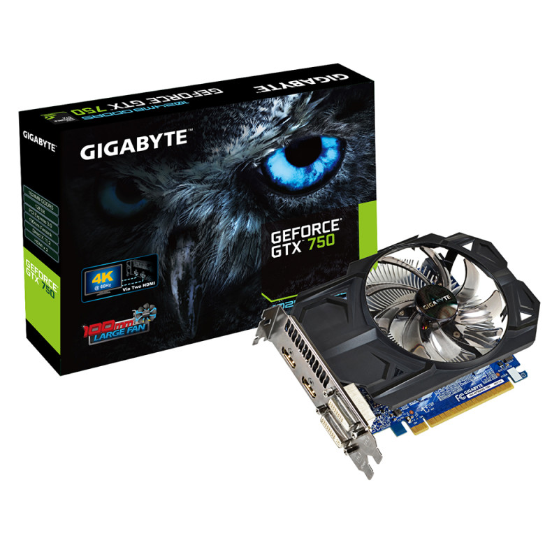 GIGABYTE 750 1GB DDR 5